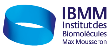logo IBMM