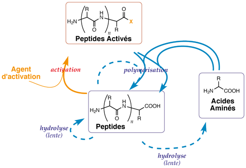amino acid based protometabolism